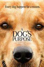 Watch A Dog's Purpose Letmewatchthis