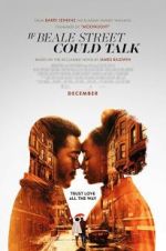 Watch If Beale Street Could Talk Letmewatchthis