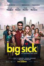 Watch The Big Sick Letmewatchthis