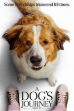 Watch A Dog's Journey Letmewatchthis
