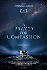 Watch A Prayer for Compassion Online Letmewatchthis
