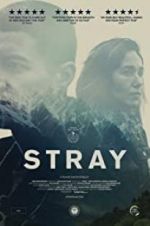 Watch Stray Letmewatchthis