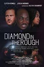 Watch Diamond in the Rough Letmewatchthis