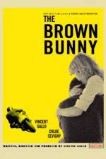Watch The Brown Bunny Online Letmewatchthis
