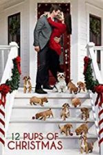 Watch 12 Pups of Christmas Letmewatchthis