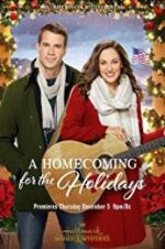 Watch A Homecoming for the Holidays Letmewatchthis