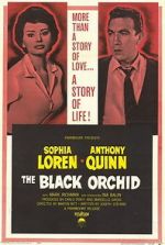 Watch The Black Orchid Letmewatchthis