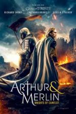 Watch Arthur & Merlin: Knights of Camelot Online Letmewatchthis