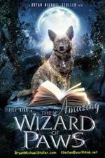Watch The Amazing Wizard of Paws Online Letmewatchthis