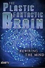 Watch The Plastic Fantastic Brain Letmewatchthis