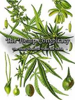 Watch The Hemp Conspiracy: The Most Powerful Plant in the World (Short 2017) Letmewatchthis