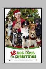 Watch 12 Dog Days of Christmas Letmewatchthis