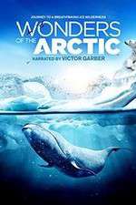 Watch Wonders of the Arctic 3D Letmewatchthis