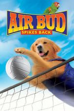 Watch Air Bud: Spikes Back Online Letmewatchthis