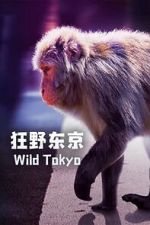 Watch Wild Tokyo (TV Special 2020) Letmewatchthis