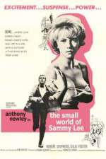 Watch The Small World of Sammy Lee Letmewatchthis