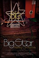 Watch Big Star: Nothing Can Hurt Me Online Letmewatchthis