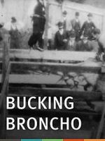 Watch Bucking Broncho Online Letmewatchthis