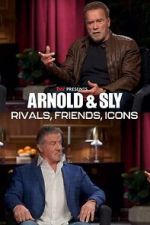 Watch Arnold & Sly: Rivals, Friends, Icons Megashare9