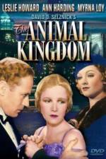 Watch The Animal Kingdom Letmewatchthis