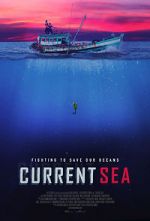 Watch Current Sea Letmewatchthis