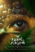 Watch The Animal Kingdom Online Letmewatchthis