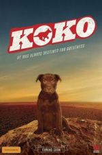 Watch Koko: A Red Dog Story Letmewatchthis