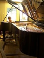 Watch Note by Note: The Making of Steinway L1037 Online Letmewatchthis