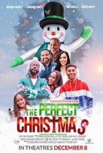 Watch The Perfect Christmas Letmewatchthis