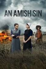 Watch An Amish Sin Letmewatchthis