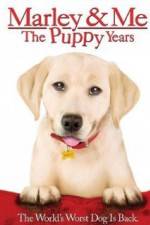 Watch Marley and Me The Puppy Years Letmewatchthis