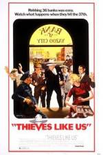 Watch Thieves Like Us Letmewatchthis