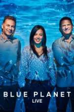 Watch Blue Planet Live Letmewatchthis