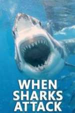 Watch Letmewatchthis When Sharks Attack Online