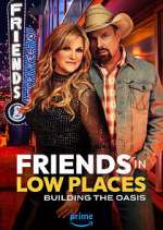 friends in low places tv poster