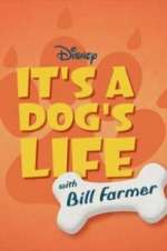 Watch It\'s a Dog\'s Life with Bill Farmer Letmewatchthis