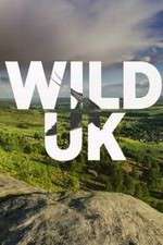Watch Wild UK Letmewatchthis