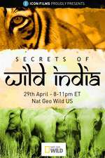 Watch Secrets of Wild India Letmewatchthis