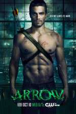 Watch Letmewatchthis Arrow Online