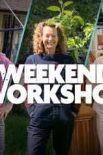 Watch Letmewatchthis The Weekend Workshop Online