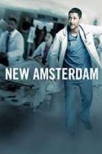 Watch New Amsterdam Letmewatchthis