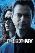 Watch Letmewatchthis CSI: NY / New York Online