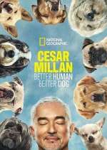 Watch Letmewatchthis Cesar Millan: Better Human Better Dog Online