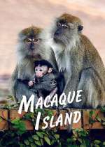 Watch Letmewatchthis Macaque Island Online