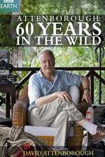 Watch Attenborough 60 Years in the Wild Letmewatchthis