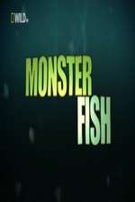 Watch Letmewatchthis National Geographic Monster Fish Online