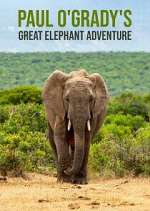 Watch Letmewatchthis Paul O'Grady's Great Elephant Adventure Online