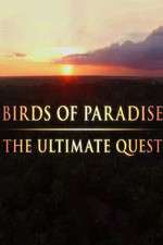Watch Birds of Paradise: The Ultimate Quest Letmewatchthis