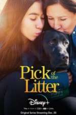 Watch Pick of the Litter Letmewatchthis