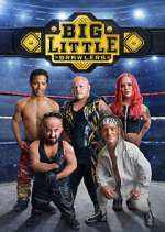 Watch Letmewatchthis Big Little Brawlers Online